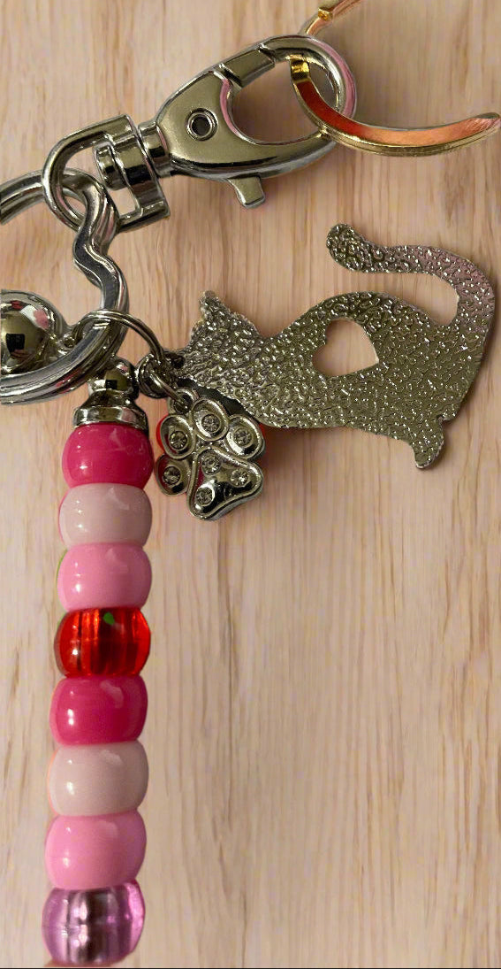 Cat Lover Keychain Close up of Cat and paw