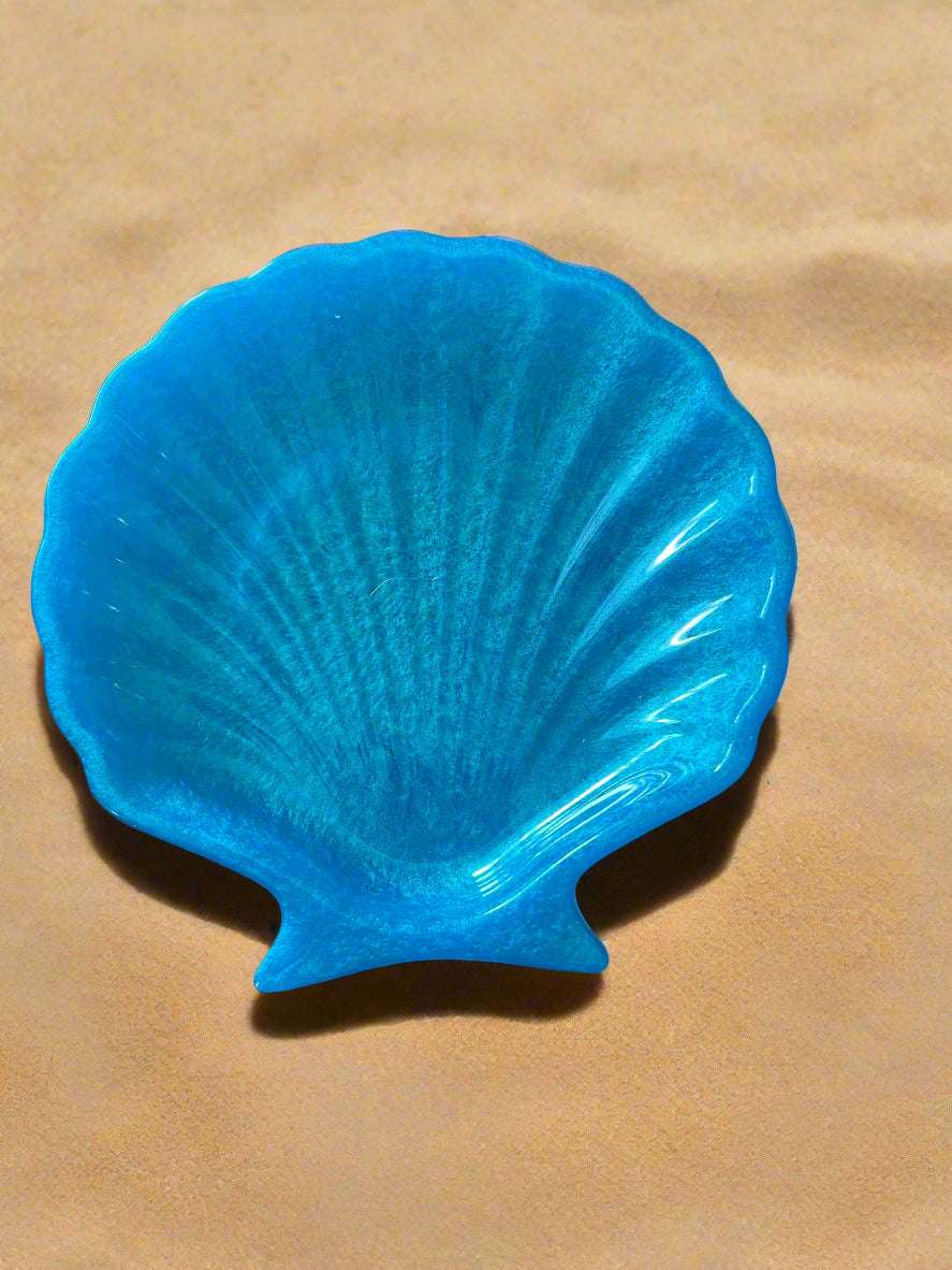 Turquoise Seashell