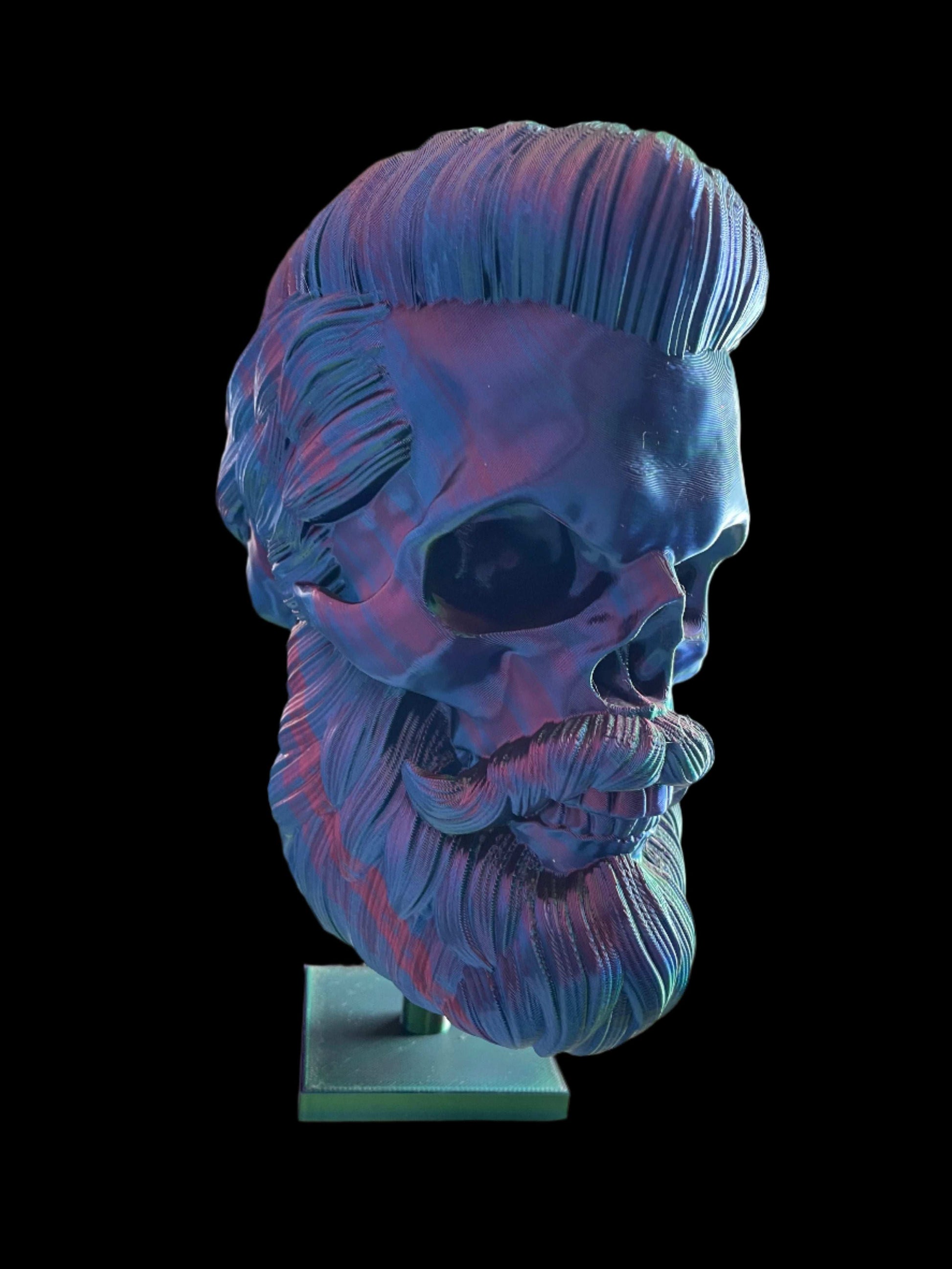 Medimum sized 3D printed skull with a full head of hair!